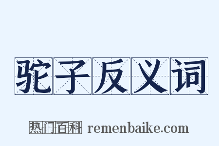 驼子反义词是什么意思的图片